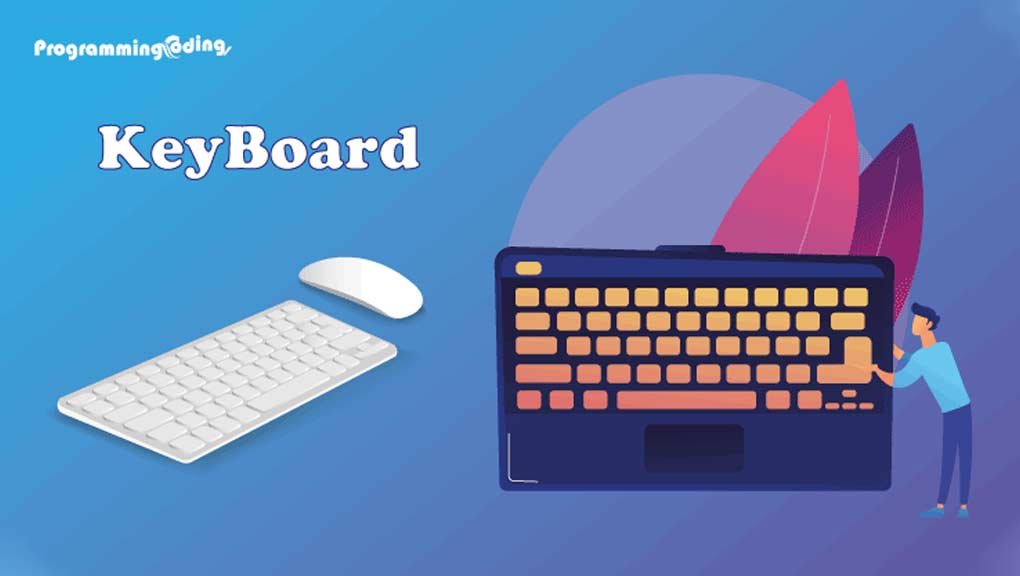 computer-keyboard-types-and-functions-of-computer-keyboard