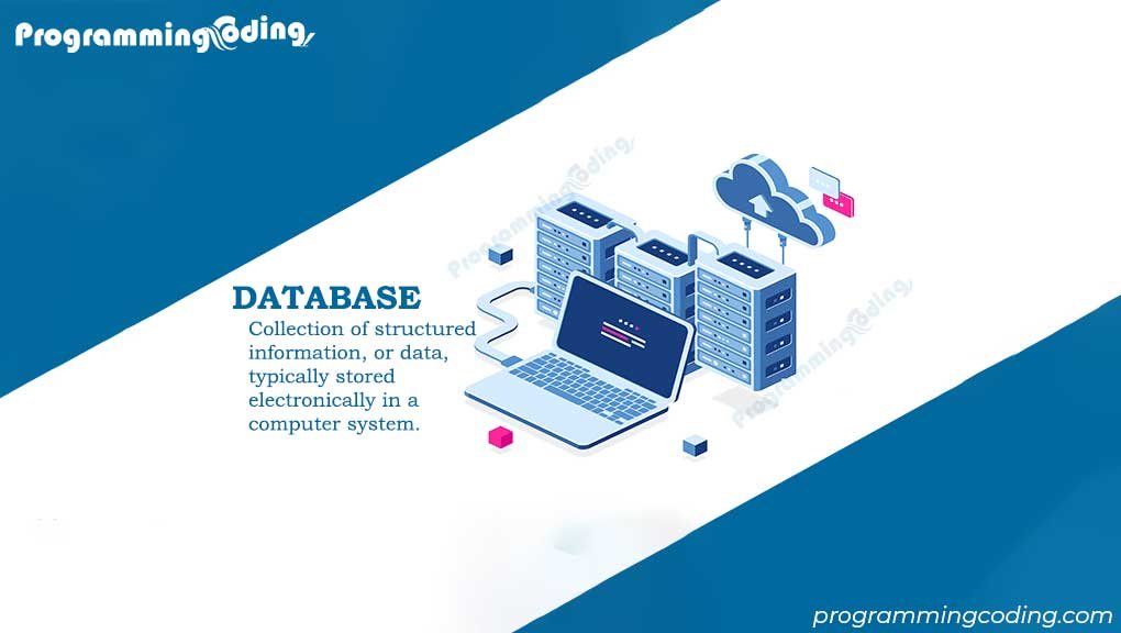 Database