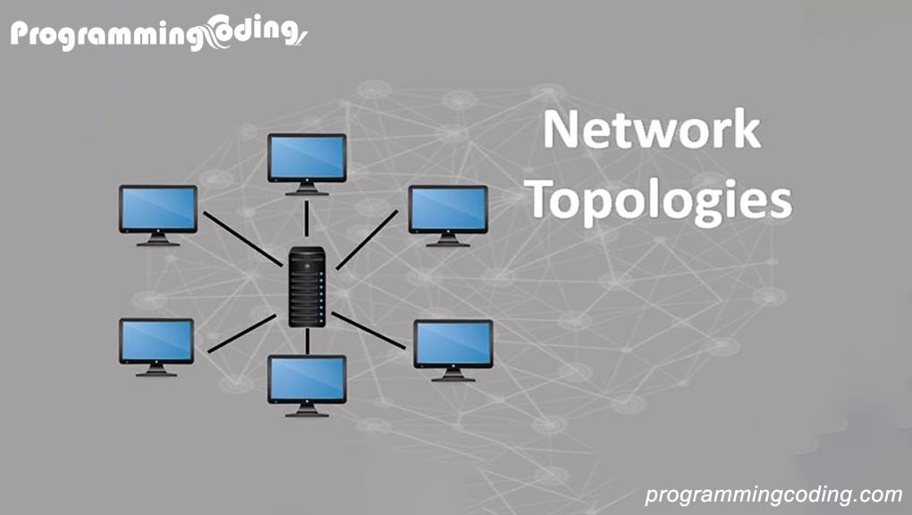 Network Topology